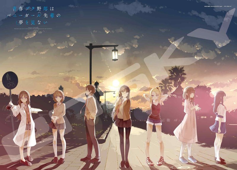 Rascal Does Not Dream of Bunny Girl Senpai Jigsaw Puzzle Seishun Buta Yaro wa Bunny Girl-senpai no Yume wo Minai(1-2 selection)