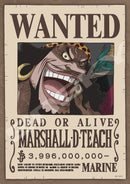 One Piece Ensky Jigsaw Puzzle 208 Piece 146-149