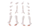 Kemopla Aoshima KO-02RKM Arm & Leg Parts Set 01 (Khao Manee Color)