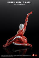 KEEPGOING STUDIO HUMAN MUSCLE MODEL FEMALE VER. 1/12 SCALE ACTION FIGURE RED