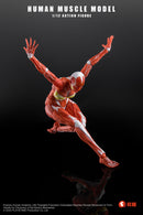 KEEPGOING STUDIO HUMAN MUSCLE MODEL FEMALE VER. 1/12 SCALE ACTION FIGURE RED