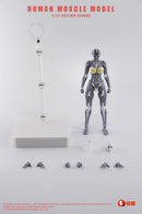 KEEPGOING STUDIO HUMAN MUSCLE MODEL FEMALE VER. 1/12 SCALE ACTION FIGURE GREY
