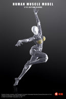KEEPGOING STUDIO HUMAN MUSCLE MODEL FEMALE VER. 1/12 SCALE ACTION FIGURE GREY