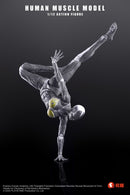 KEEPGOING STUDIO HUMAN MUSCLE MODEL FEMALE VER. 1/12 SCALE ACTION FIGURE GREY