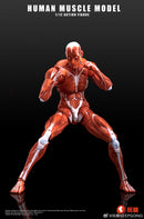 KEEPGOING STUDIO HUMAN MUSCLE MODEL 1/12 SCALE ACTION FIGURE RED