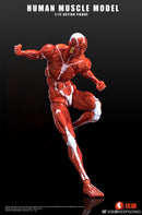 KEEPGOING STUDIO HUMAN MUSCLE MODEL 1/12 SCALE ACTION FIGURE RED