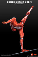 KEEPGOING STUDIO HUMAN MUSCLE MODEL 1/12 SCALE ACTION FIGURE RED