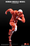 KEEPGOING STUDIO HUMAN MUSCLE MODEL 1/12 SCALE ACTION FIGURE RED