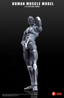 KEEPGOING STUDIO HUMAN MUSCLE MODEL 1/12 SCALE ACTION FIGURE GRAY