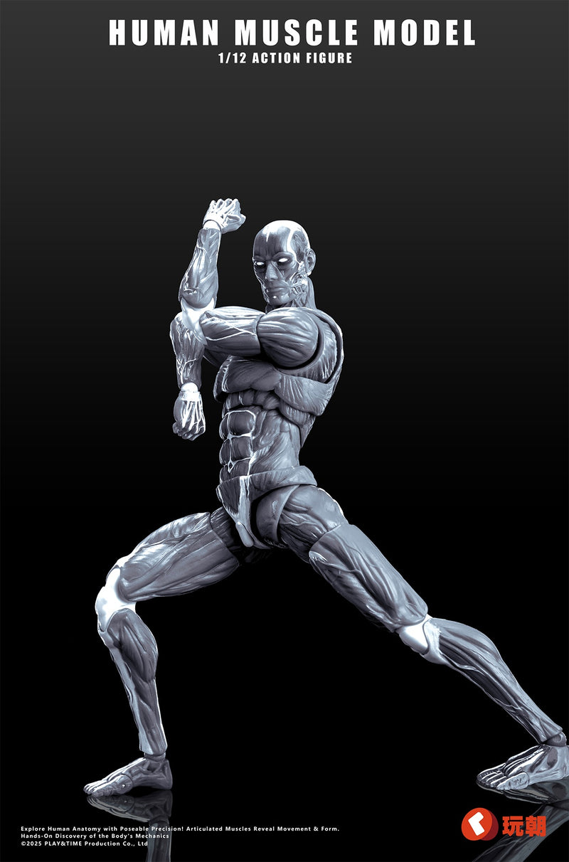 KEEPGOING STUDIO HUMAN MUSCLE MODEL 1/12 SCALE ACTION FIGURE GRAY