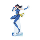 Cat's Eye A3 Acrylic Stand (Official Illustration)