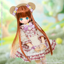 Colorful Dreamin' Azone international Temari -Dreaming Bear- Wild Strawberry Ver.