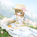 1/6 Iris Collect Petit Azone international Mira / Letters and Flowers (Blue Nemophila Ver.)