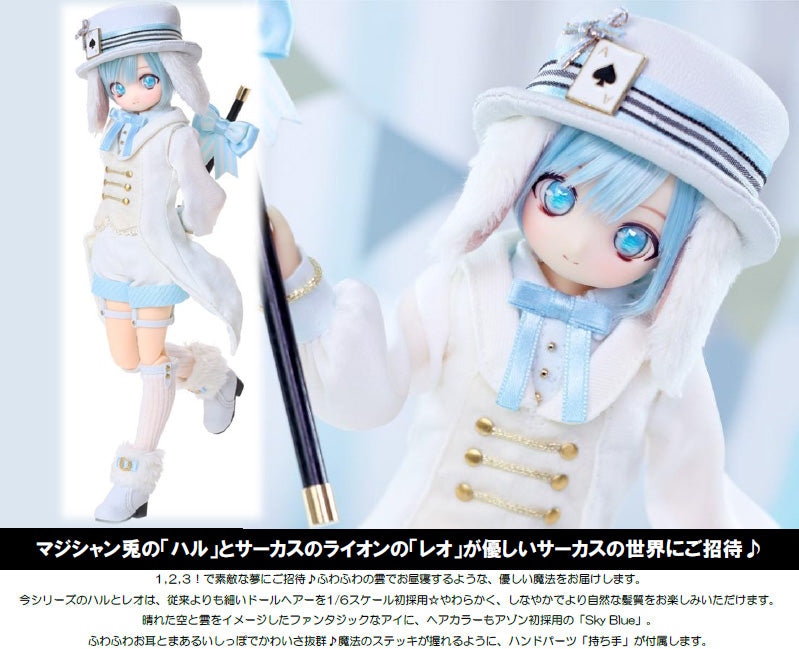 Iris Collect Petit Azone international 1/6 Hal -Tender Circus- Fantastical World Ver.