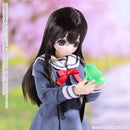 EX Cute  Azone international St. Portoldam Women's University Junior High New Uniform Miu