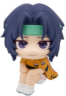 The New Prince of Tennis MEGAHOUSE Lookup Seiichi Yukimura