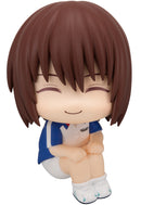 The New Prince of Tennis MEGAHOUSE Lookup Shusuke Fuji