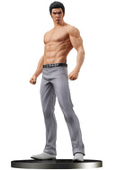 Yakuza DIGSTA Kazuma Kiryu - Fierce Battle -