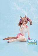 Umamusume: Pretty Derby SEGA Yumemirize Smart Falcon -Gaze on Me!-