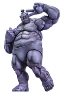 THE WORLD OF ADVENTURERS Mety toyz GORASH BONEGLYPH 1/10 SCALE ACTION FIGURE