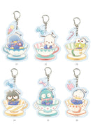 HAPIDANBUI A3 Acrylic Key Chain with Parts 21-26