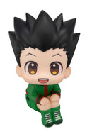 HUNTER×HUNTER MEGAHOUSE Lookup Gon Freecss