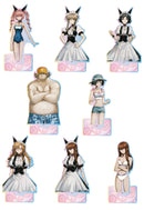 STEINS;GATE i-rights,LLC Aurora Acrylic Figure My Darling's Embrace Ver.(Resale)