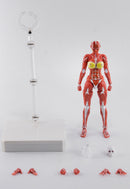 KEEPGOING STUDIO HUMAN MUSCLE MODEL FEMALE VER. 1/12 SCALE ACTION FIGURE RED