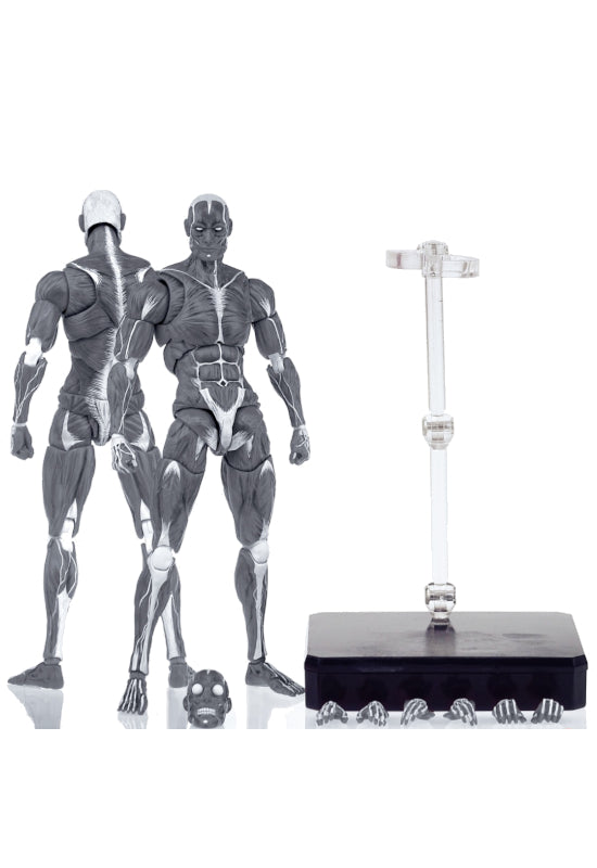 KEEPGOING STUDIO HUMAN MUSCLE MODEL 1/12 SCALE ACTION FIGURE GRAY