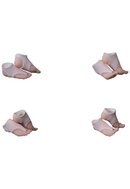 SNAIL SHELL OPTION FOOT PARTS SET FOR SISTER MUSE ASDO