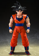 Dragon Ball Z Bandai S.H.Figuarts Son Gokou (The Kind-Hearted Saiyan)