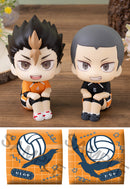 Haikyu!! MEGAHOUSE Lookup Yu Nishinoya & Ryunosuke Tanaka  Uniform ver. Set【with gift】