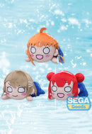 Love Live! Sunshine!! SEGA NESOBERI (Lay-Down) Plush ~Eternal Hours~ Vol.1 (EX)