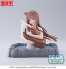 Spice and Wolf: MERCHANT MEETS THE WISE WOLF SEGA Thermae Utopia Holo