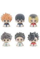 Haikyu!! MEGAHOUSE Nuippo Haikyu!!