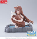 Spice and Wolf: MERCHANT MEETS THE WISE WOLF SEGA Thermae Utopia Holo