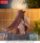 Spice and Wolf: MERCHANT MEETS THE WISE WOLF SEGA Thermae Utopia Holo