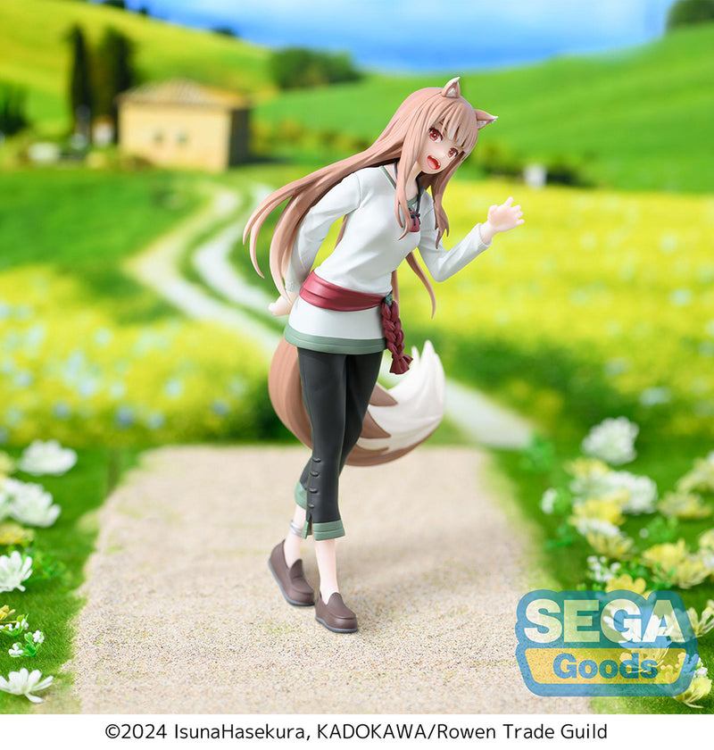 Spice and Wolf: MERCHANT MEETS THE WISE WOLF SEGA Desktop x Decorate Collections Holo