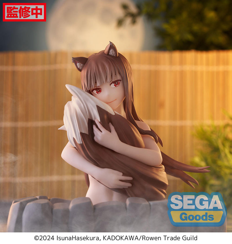 Spice and Wolf: MERCHANT MEETS THE WISE WOLF SEGA Thermae Utopia Holo