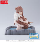 Spice and Wolf: MERCHANT MEETS THE WISE WOLF SEGA Thermae Utopia Holo