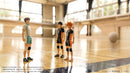 Haikyu!! SENTINEL CK-H01 COLLEKAZARO Shoyo Hinata