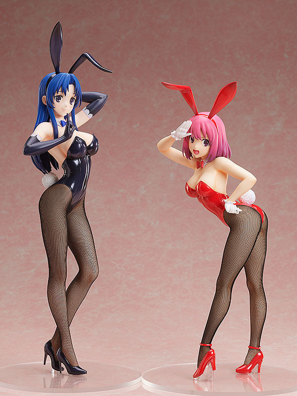 Toradora! FREEing Minori Kushieda: Bunny Ver.