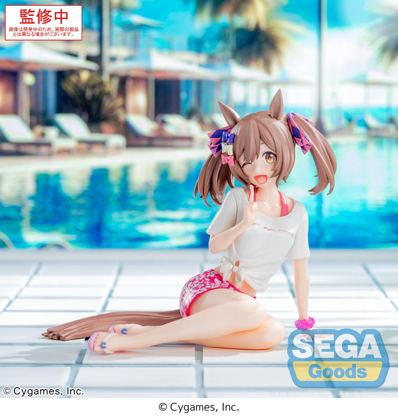 Umamusume: Pretty Derby SEGA Yumemirize Smart Falcon -Gaze on Me!-