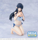 The Irregular at Magic High School THE MOVIE Yotsuba Succession Arc SEGA Yumemirize Miyuki Shiba