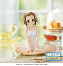 K-ON! SEGA Yumemirize Ritsu Tainaka
