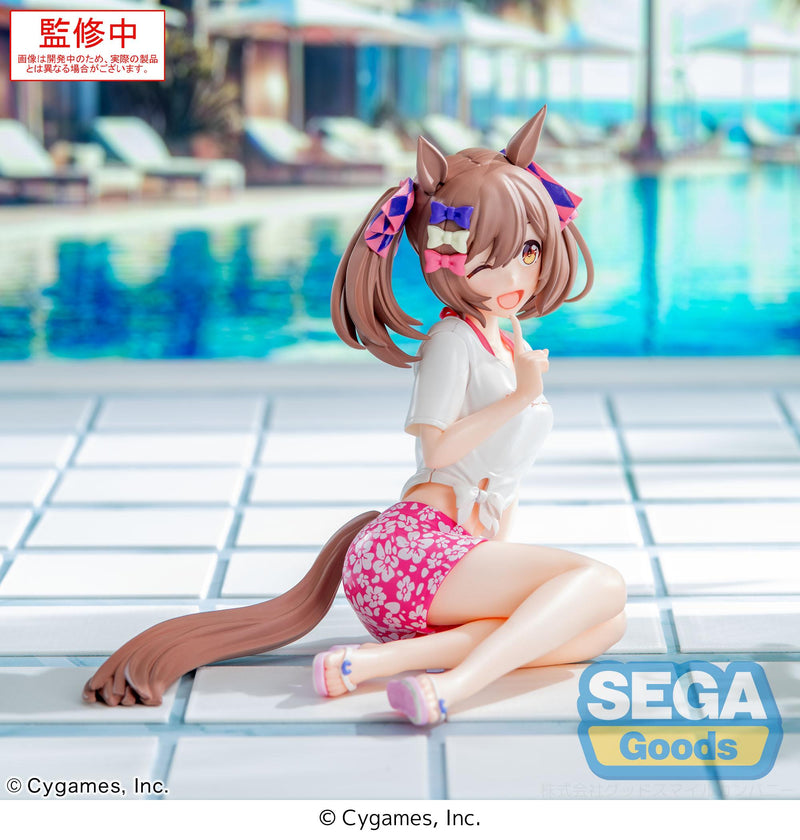 Umamusume: Pretty Derby SEGA Yumemirize Smart Falcon -Gaze on Me!-