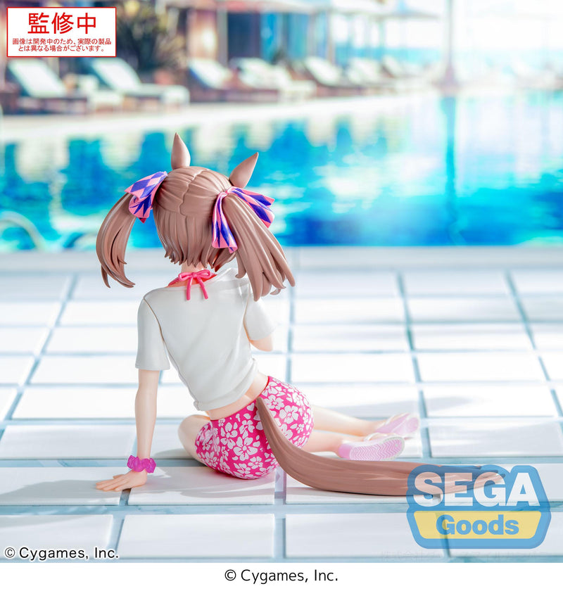 Umamusume: Pretty Derby SEGA Yumemirize Smart Falcon -Gaze on Me!-
