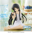 K-ON! SEGA Yumemirize Mio Akiyama