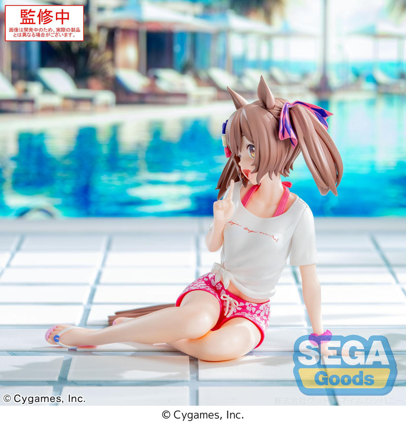 Umamusume: Pretty Derby SEGA Yumemirize Smart Falcon -Gaze on Me!-