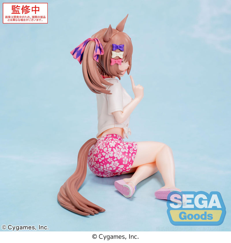 Umamusume: Pretty Derby SEGA Yumemirize Smart Falcon -Gaze on Me!-